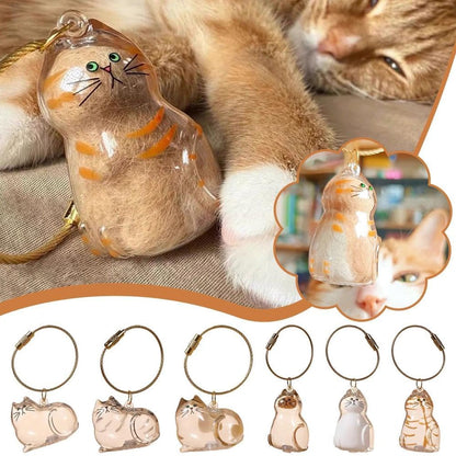 🔥50000+ Sold🐾Pet Hair Memorial Capsule Keychain