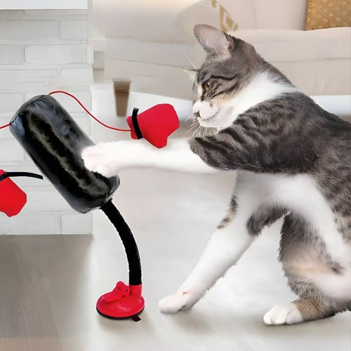 Mini Cat Punching Bag