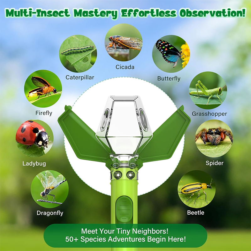 6x Magnification Bug Catcher & Viewer for Kids