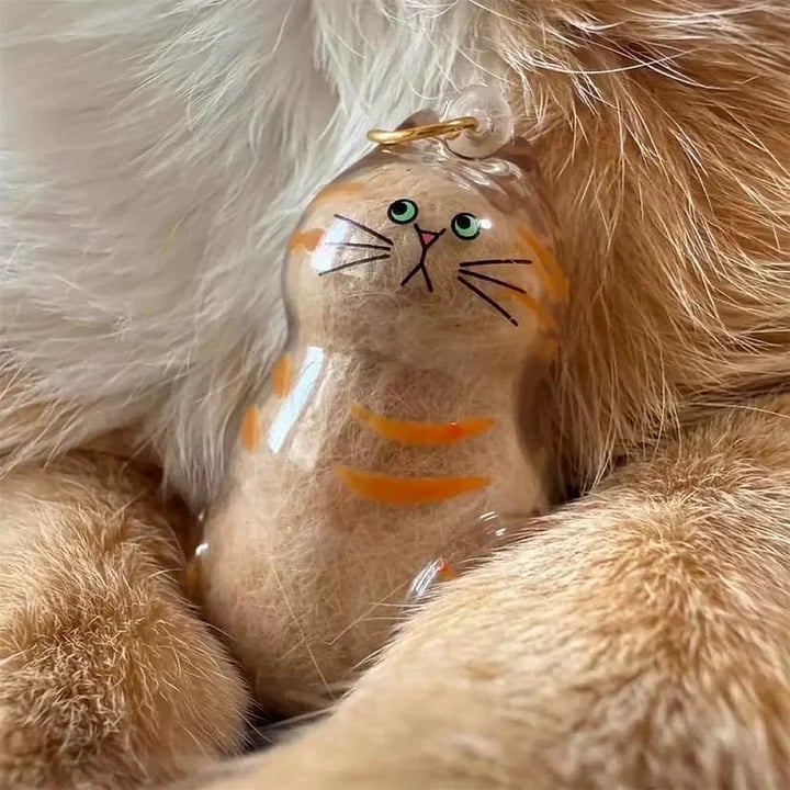 🔥50000+ Sold🐾Pet Hair Memorial Capsule Keychain
