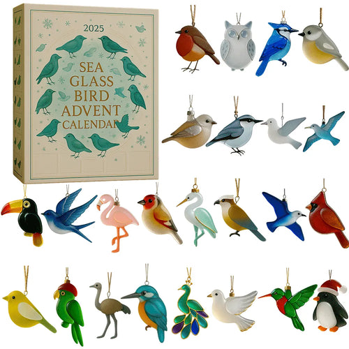 🐦Bird Advent Calendar 2025