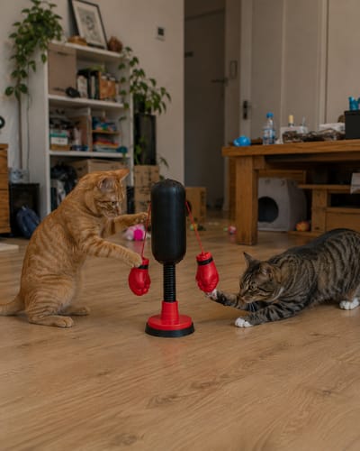 Mini Cat Punching Bag