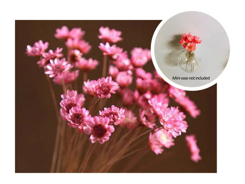 🎁Last Day Sale 49% OFF🌸 Mini Ceramics Vase Fridge Magnet