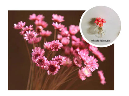 🎁Last Day Sale 49% OFF🌸 Mini Ceramics Vase Fridge Magnet
