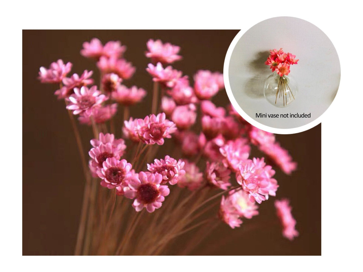 🎁Last Day Sale 49% OFF🌸 Mini Ceramics Vase Fridge Magnet