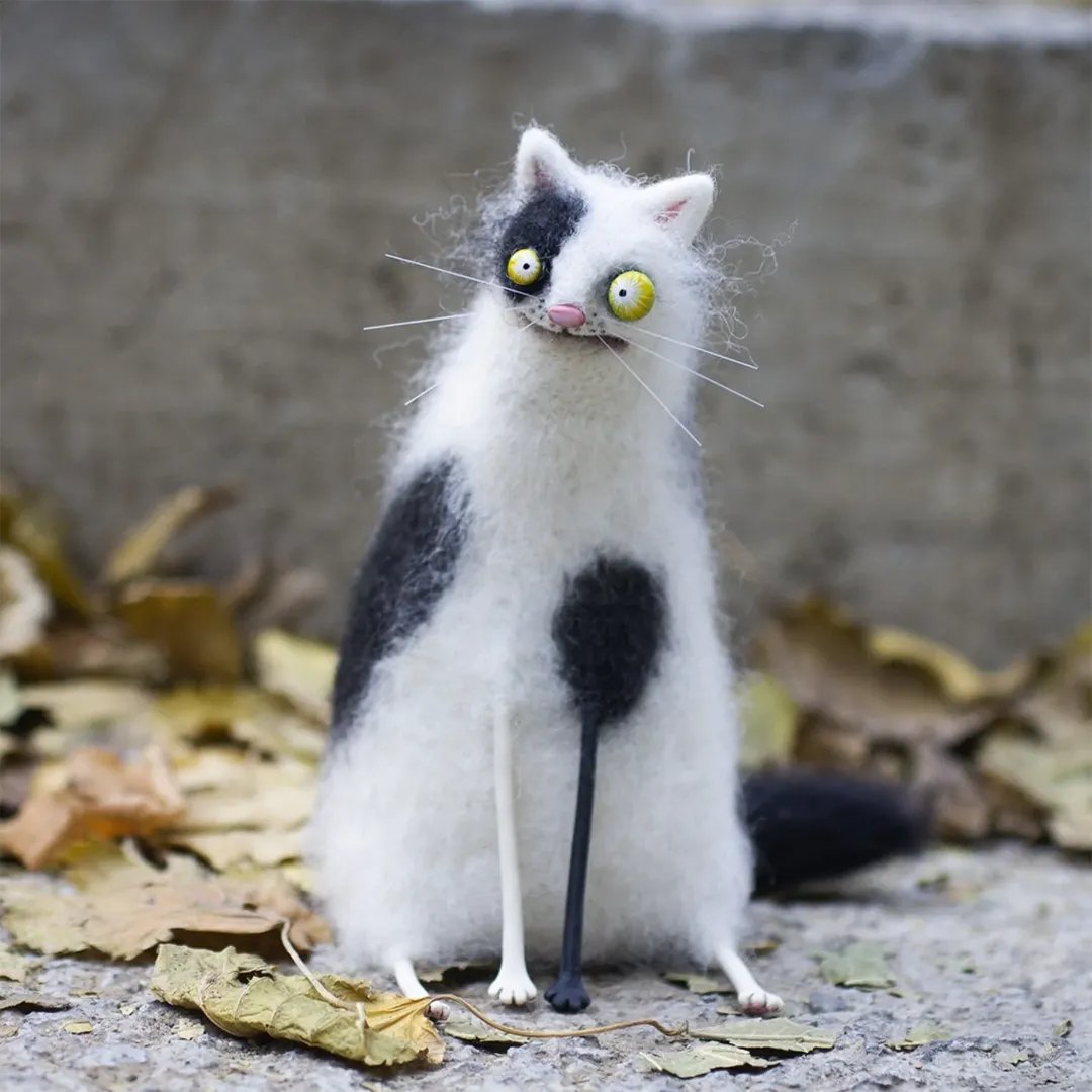 Strange cat (⏰7 in stock)